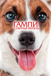Гампи. Собачья жизнь - постер