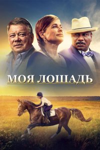 Моя лошадь - постер