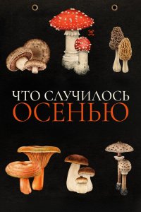 Что случилось осенью - постер