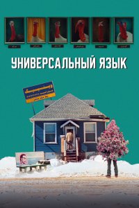 Универсальный язык - постер